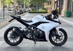 Kayo 250RR Thornbird - ფოტო 1