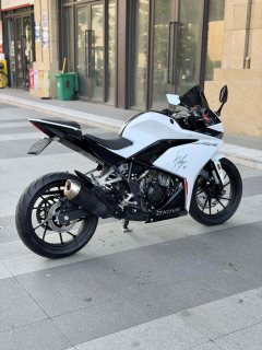 Kayo 250RR Thornbird - ფოტო 2