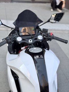 Kayo 250RR Thornbird - ფოტო 6
