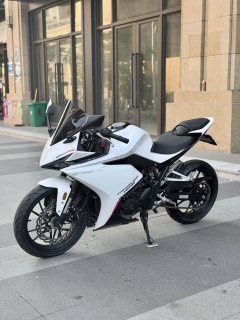 Kayo 250RR Thornbird - ფოტო 9