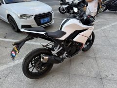 Kayo 250RR Thornbird - ფოტო 3