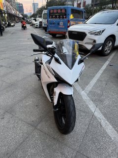 Kayo 250RR Thornbird - ფოტო 5