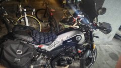 Benelli Young Lion Leoncino 250 - ფოტო 1