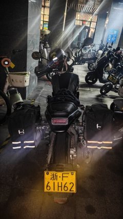 Benelli Young Lion Leoncino 250 - ფოტო 3