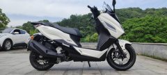 Nanfnag Flying Shark 250 cc - ფოტო 2