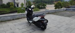 Nanfnag Flying Shark 250 cc - ფოტო 3