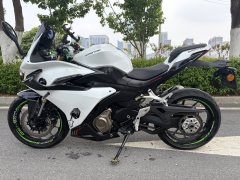 QJMOTOR 450 - ფოტო 2