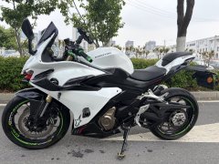 QJMOTOR 450 - ფოტო 3