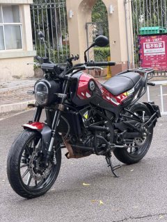 Benelli Young Lion Leoncino 250 - фото 1