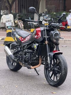 Benelli Young Lion Leoncino 250 - фото 2