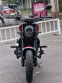 Benelli Young Lion Leoncino 250 - фото 3