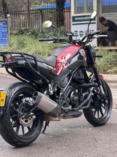 Benelli Young Lion Leoncino 250 - фото 4