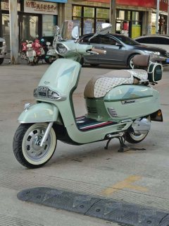 Weiduoliya Sixties 150Si - ფოტო 3