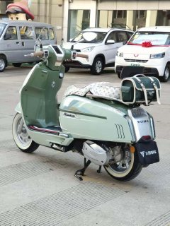 Weiduoliya Sixties 150Si - ფოტო 4