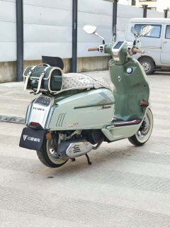 Weiduoliya Sixties 150Si - ფოტო 6