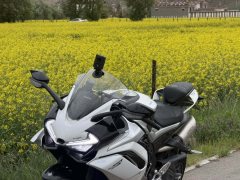 CFMOTO 500SR - ფოტო 1