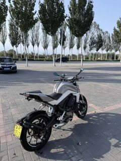 CFMOTO 250NK - photo 2