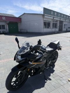 Haojue Suzuki GSX250R - ფოტო 4