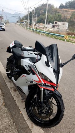 QJMOTOR SRK 250 - ფოტო 2