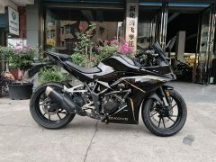 Kayo 250RR Thornbird - фото 1