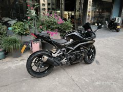 Kayo 250RR Thornbird - фото 2