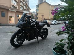 Kayo 250RR Thornbird - фото 4
