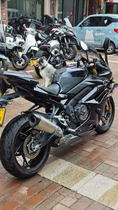 Voge RR660S - ფოტო 9