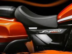 Jiedijiche Custom 250 - ფოტო 6
