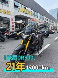 Haojue DR300 - ფოტო 1