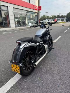 Benda Polestones 03 Gray 300 cc - ფოტო 7