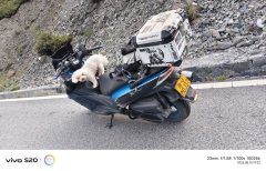 KYMCO Xciting 300 - ფოტო 2