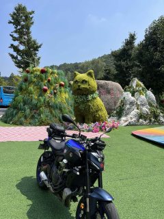 Yamaha MT-07 700 cc - фото 3