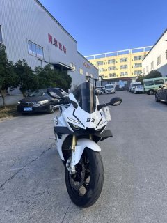 Zhangxue Motorcycles 500RR - ფოტო 3