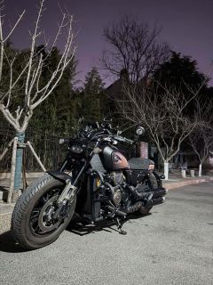 QJMOTOR Shan 600 560 cc - фото 2