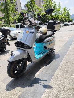 Weiduoliya Sixties 150Si - ფოტო 2