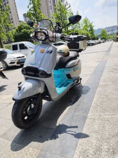 Weiduoliya Sixties 150Si - ფოტო 3