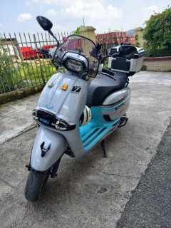 Weiduoliya Sixties 150Si - ფოტო 4