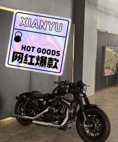 Harley-Davidson Forty-Eight athlete 1200 cc - ფოტო 1