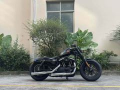 Harley-Davidson Forty-Eight athlete 1200 cc - ფოტო 2