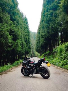 Haojue Suzuki GSX250R - photo 2