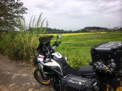 Kayo 625X 600 cc - фото 2