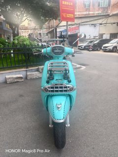 Weiduoliya Sixties 250Si - ფოტო 1