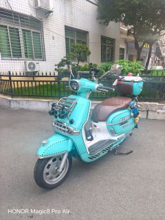 Weiduoliya Sixties 250Si - ფოტო 2