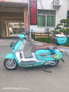 Weiduoliya Sixties 250Si - ფოტო 3