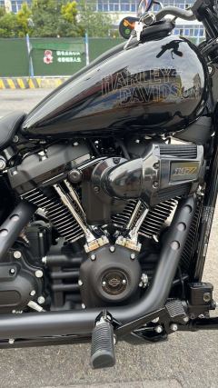 Harley-Davidson Louwey Low Rider S 1923 cc - ფოტო 6