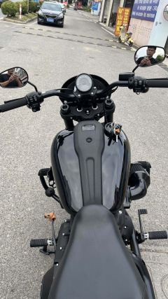 Harley-Davidson Louwey Low Rider S 1923 cc - ფოტო 7
