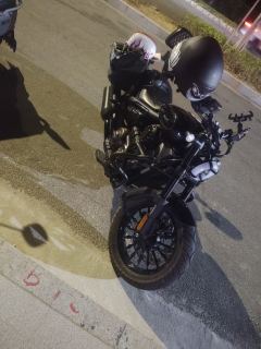 Benda Chinchilla 350 - photo 2