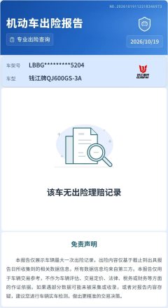 QJMOTOR Chaser 600 - ფოტო 8