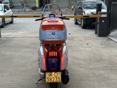 Weiduoliya Sixties 150Si - ფოტო 8