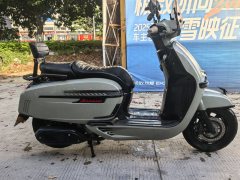 Weiduoliya Sixties 250Si - ფოტო 4